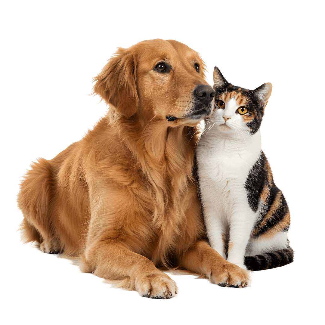 Pet centar
