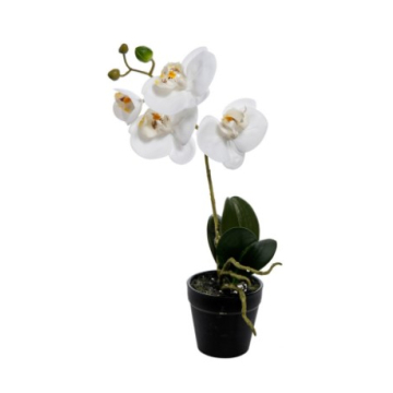 BILJKA umjetna Phalaenopsis 38cm