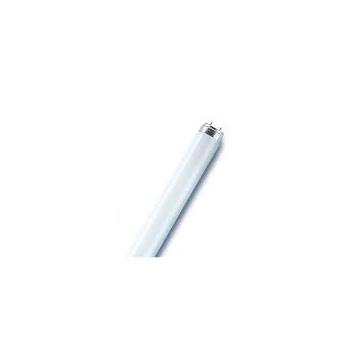 OSRAM cijev FLUO 36W