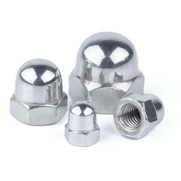 SCHAFER+PETERS navrtka slijepa M6 mm DIN1587 inox