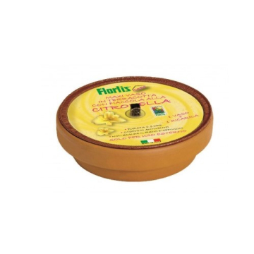 FLORTIS svijeća vrtna Citronela u keramičkoj saksiji 16cm