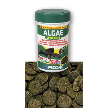 PRODAC hrana za algare 100ml