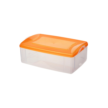 DRINA kutija Frigo 2,2 l