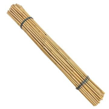 DECOSTRONG štap za biljke babmbus H220cm 26/28mm 5/1